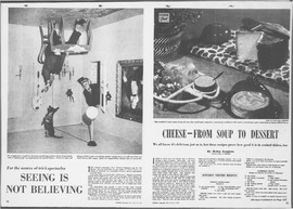 The Sudbury Star Final_1955_10_08_W16.pdf